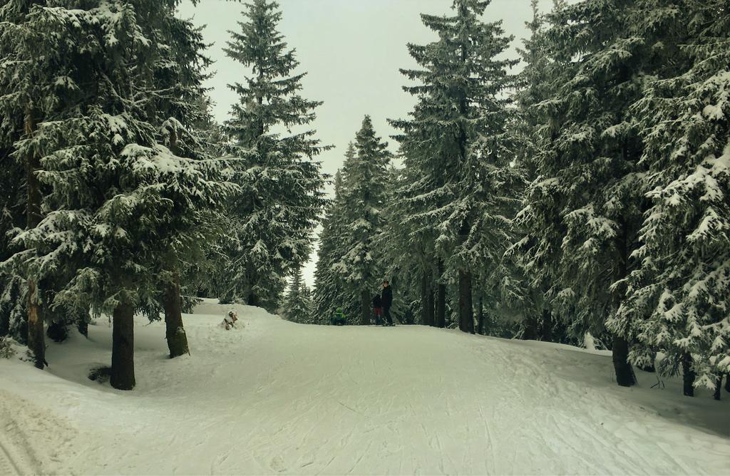 Pokoje Goscinne Pod Sosnami Karpacz Exterior foto